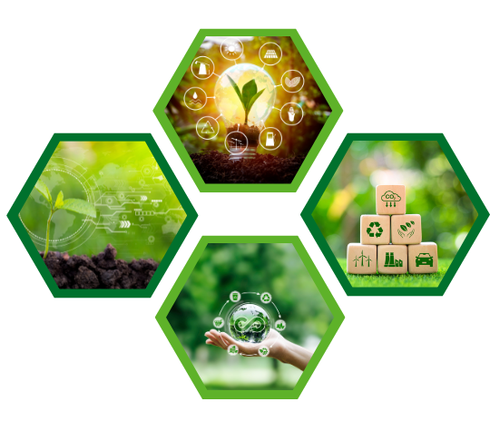 National Green Energy Co.,LTD : NGE